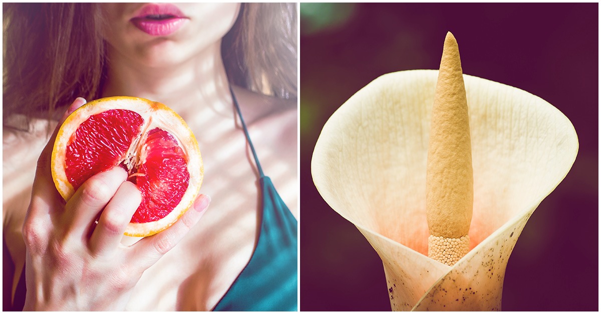 Todo lo que has querido saber del clítoris, pero no te atreves a preguntar